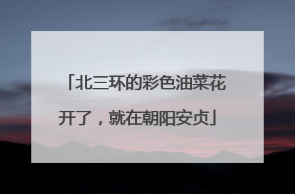 北三环的彩色油菜花开了，就在朝阳安贞