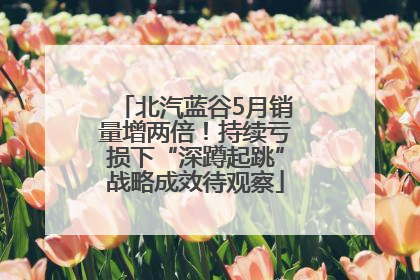 北汽蓝谷5月销量增两倍！持续亏损下“深蹲起跳”战略成效待观察