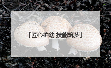 匠心护幼 技能筑梦