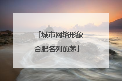 城市网络形象合肥名列前茅