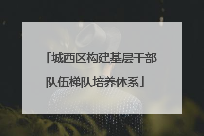 城西区构建基层干部队伍梯队培养体系