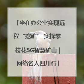 坐在办公室实现远程“挖矿” 实探攀枝花5G智慧矿山｜网络名人四川行