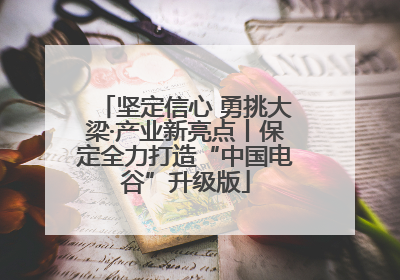 坚定信心 勇挑大梁·产业新亮点丨保定全力打造“中国电谷”升级版