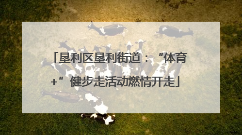 垦利区垦利街道：“体育+”健步走活动燃情开走