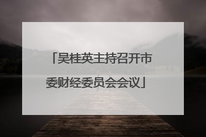 吴桂英主持召开市委财经委员会会议