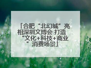 合肥“北幻城”亮相深圳文博会 打造“文化+科技+商业”消费场景