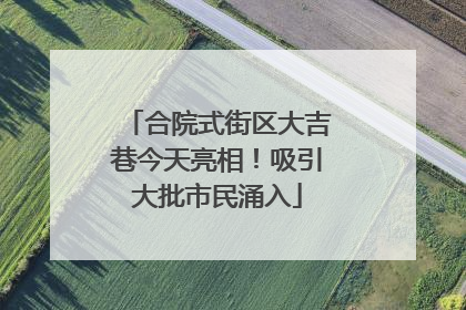 合院式街区大吉巷今天亮相！吸引大批市民涌入