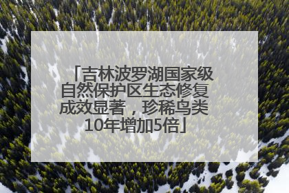 吉林波罗湖国家级自然保护区生态修复成效显著，珍稀鸟类10年增加5倍