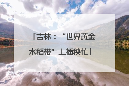 吉林：“世界黄金水稻带”上插秧忙