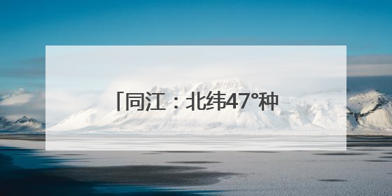 同江：北纬47°种出“黄金产业” 软枣猕猴桃9月上市