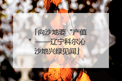向沙地要“产值”——辽宁科尔沁沙地兴绿见闻