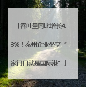 吞吐量同比增长4.3%！泰州企业坐享“家门口就是国际港”