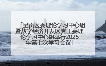呈贡区委理论学习中心组暨数字经济开发区党工委理论学习中心组举行2025年第七次学习会议