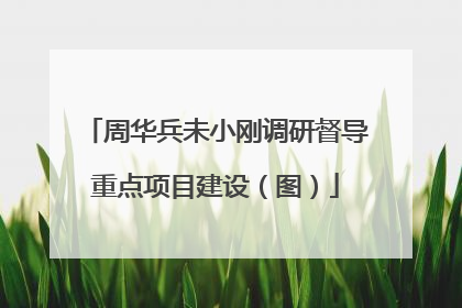 周华兵未小刚调研督导重点项目建设（图）