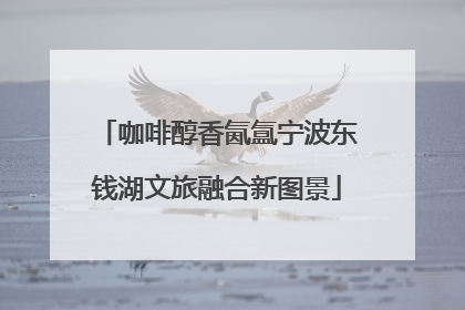 咖啡醇香氤氲宁波东钱湖文旅融合新图景