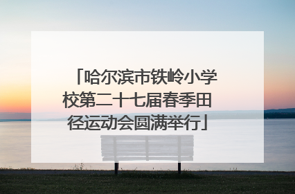 哈尔滨市铁岭小学校第二十七届春季田径运动会圆满举行