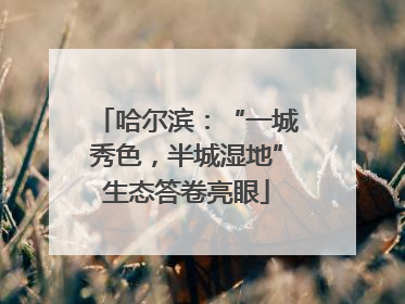 哈尔滨：“一城秀色，半城湿地”生态答卷亮眼