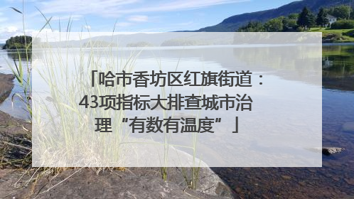 哈市香坊区红旗街道：43项指标大排查城市治理“有数有温度”