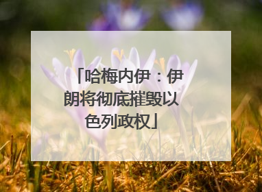 哈梅内伊：伊朗将彻底摧毁以色列政权