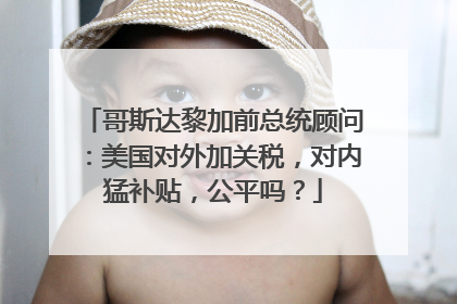 哥斯达黎加前总统顾问：美国对外加关税，对内猛补贴，公平吗？