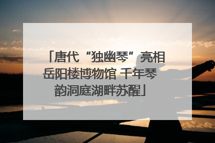 唐代“独幽琴”亮相岳阳楼博物馆 千年琴韵洞庭湖畔苏醒