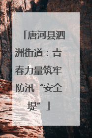 唐河县泗洲街道：青春力量筑牢防汛“安全堤”