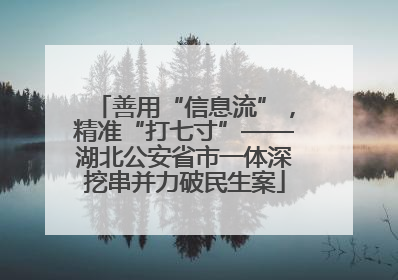 善用“信息流”，精准“打七寸”——湖北公安省市一体深挖串并力破民生案