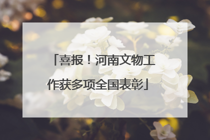 喜报！河南文物工作获多项全国表彰