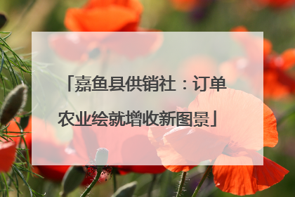 嘉鱼县供销社：订单农业绘就增收新图景