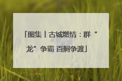 图集丨古城燃情：群“龙”争霸 百舸争渡