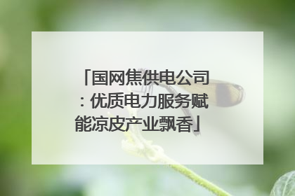 国网焦供电公司：优质电力服务赋能凉皮产业飘香