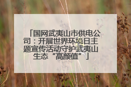 国网武夷山市供电公司：开展世界环境日主题宣传活动守护武夷山生态“高颜值”