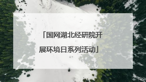 国网湖北经研院开展环境日系列活动