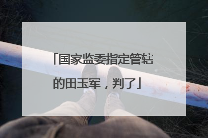 国家监委指定管辖的田玉军，判了