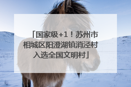 国家级+1！苏州市相城区阳澄湖镇消泾村入选全国文明村