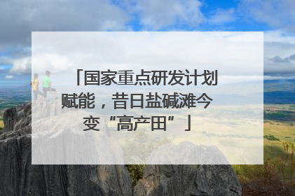 国家重点研发计划赋能，昔日盐碱滩今变“高产田”