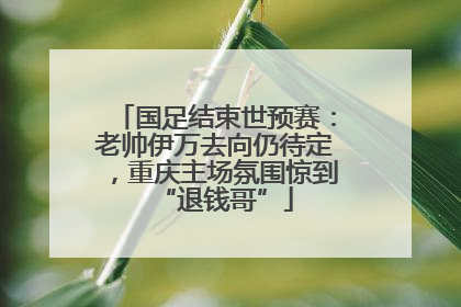 国足结束世预赛：老帅伊万去向仍待定，重庆主场氛围惊到“退钱哥”