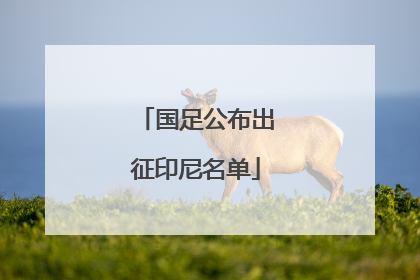 国足公布出征印尼名单