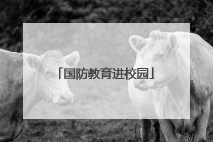 国防教育进校园
