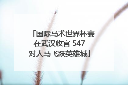国际马术世界杯赛在武汉收官 547对人马飞跃英雄城