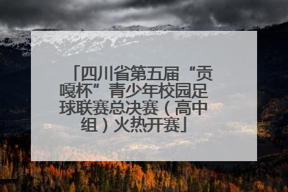 四川省第五届“贡嘎杯”青少年校园足球联赛总决赛（高中组）火热开赛