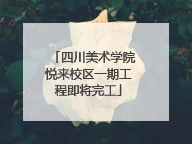 四川美术学院悦来校区一期工程即将完工