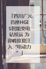 四川广元首座HGIS智能变电站投运 为迎峰度夏注入“电动力”