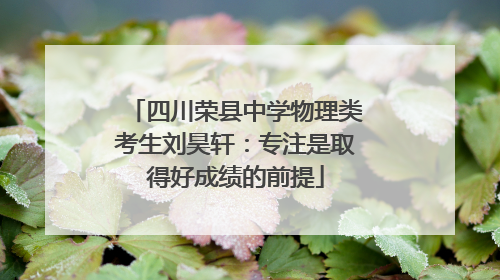 四川荣县中学物理类考生刘昊轩：专注是取得好成绩的前提