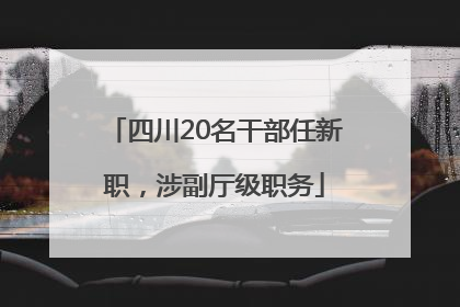 四川20名干部任新职，涉副厅级职务