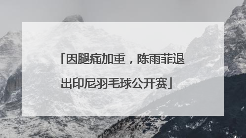 因腿痛加重，陈雨菲退出印尼羽毛球公开赛