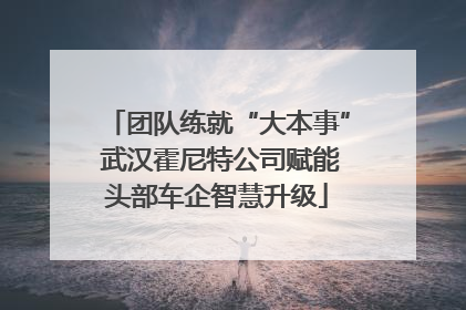 团队练就“大本事” 武汉霍尼特公司赋能头部车企智慧升级