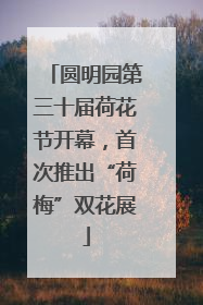 圆明园第三十届荷花节开幕，首次推出“荷梅”双花展