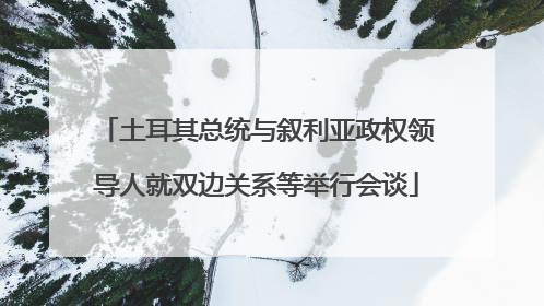 土耳其总统与叙利亚政权领导人就双边关系等举行会谈