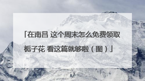 在南昌 这个周末怎么免费领取栀子花 看这篇就够啦（图）